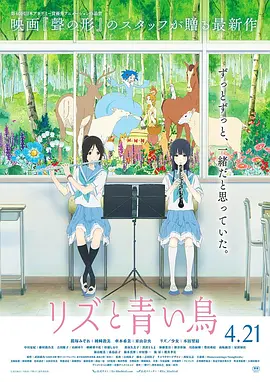 上海dns