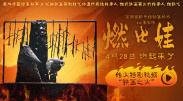 三级毛片免费观看