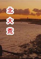 粉色视频免费入口