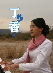 久久九九综合