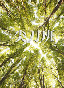 伊人久久一区
