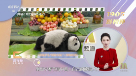 大乳喷奶水榨乳在线日本